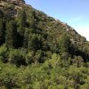 Baer Canyon Trail
