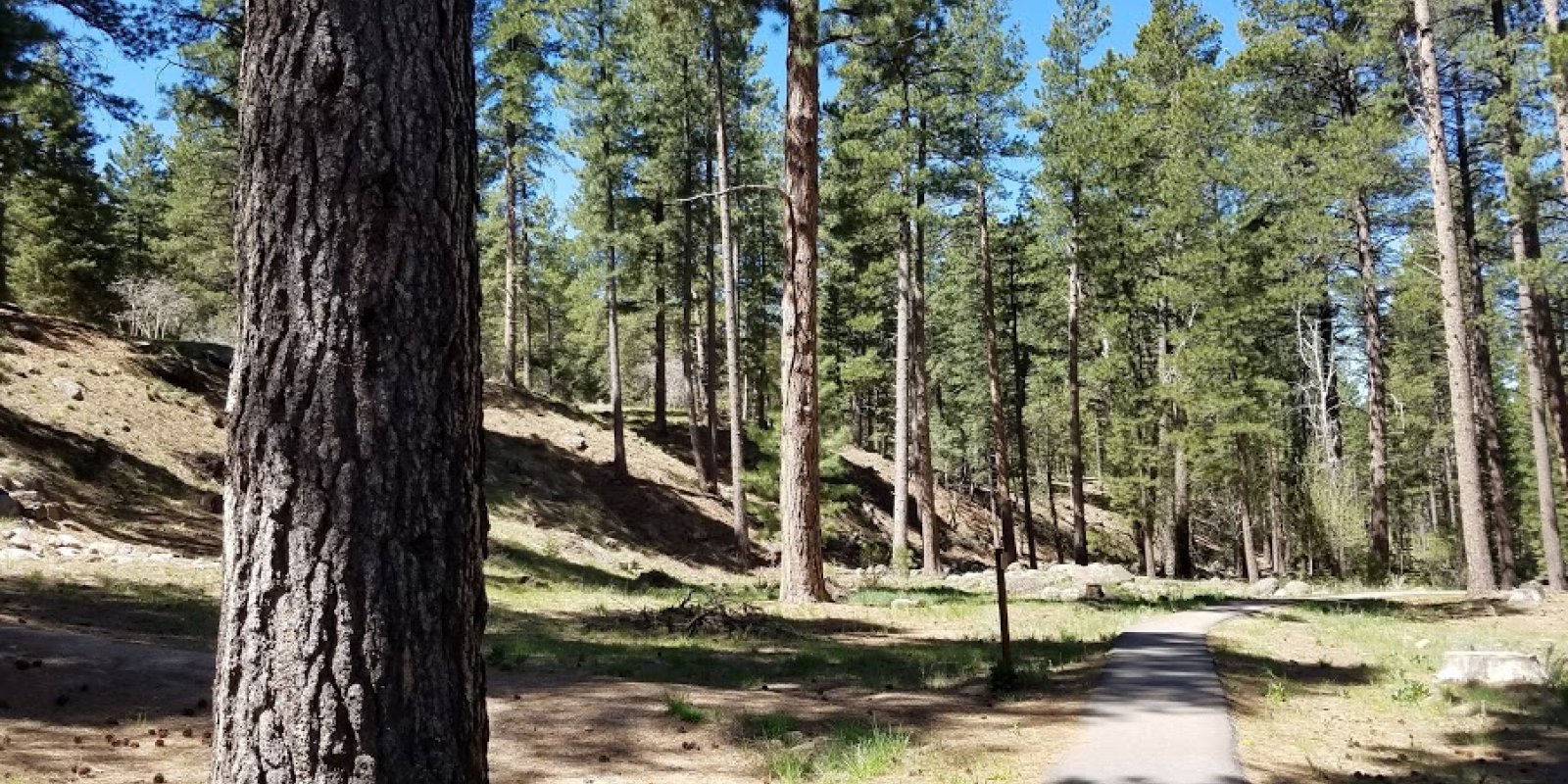 Pine Valley Recreation Area | UTAWESOME